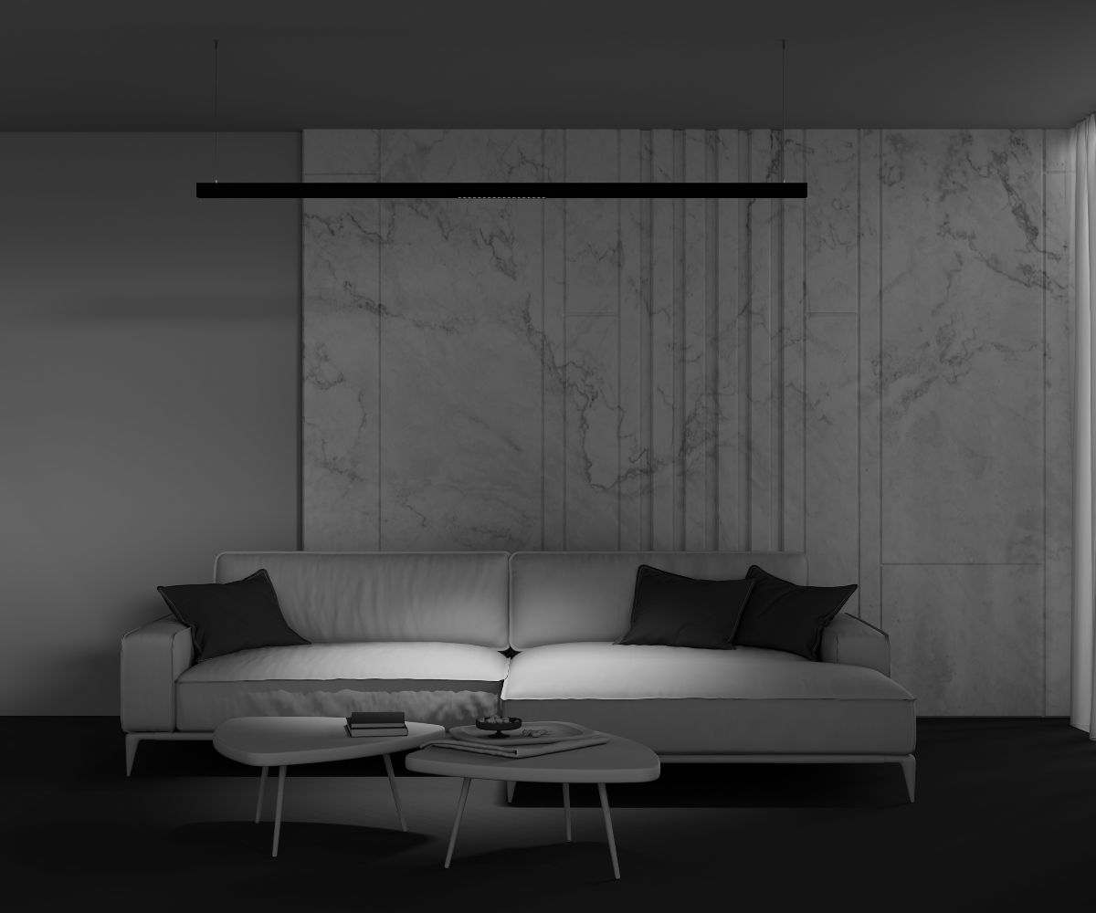 Трековый магнитный светильник Maytoni Points TR031-2-18W2.7K-B в Санкт-Петербурге