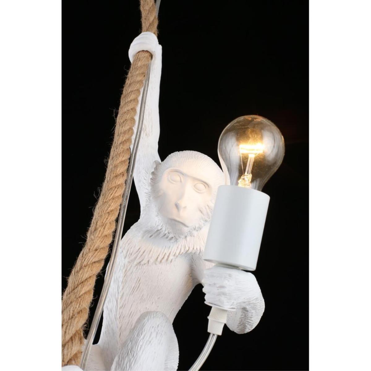 Подвесной светильник Aployt Magali APL.309.06.01 в Санкт-Петербурге