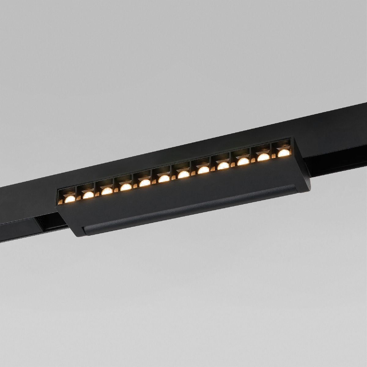 Трековый магнитный светильник Elektrostandard Slim Magnetic 4690389206412 85010/01 a067370 в Санкт-Петербурге