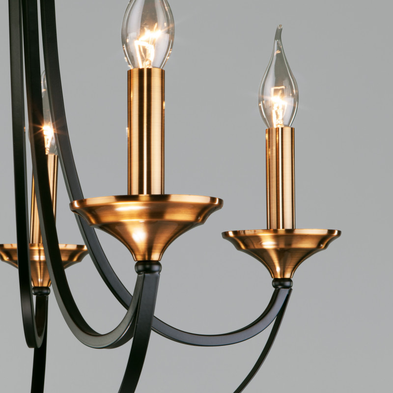 Подвесная люстра Eurosvet 60098/5 черный в Санкт-Петербурге