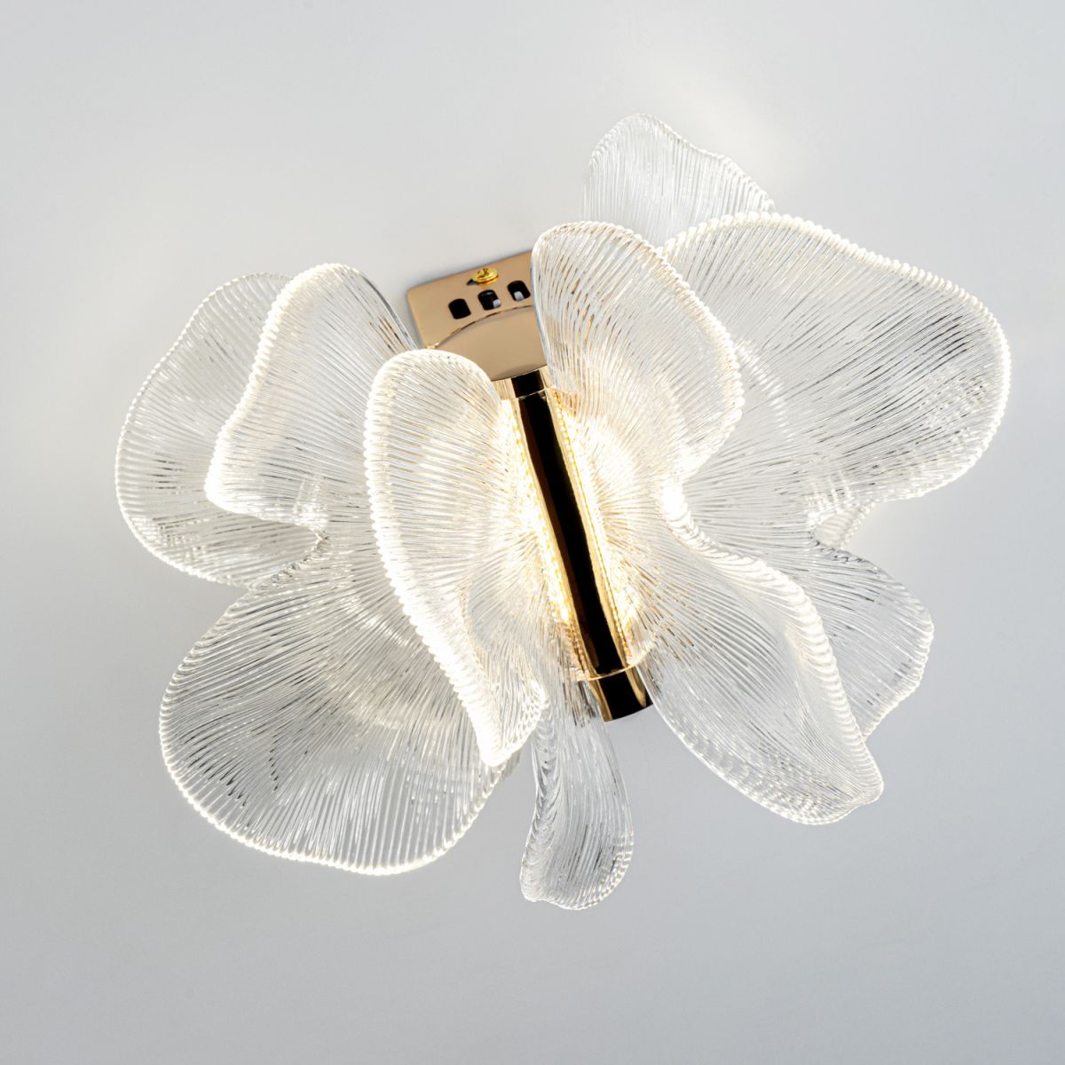 Настенный светильник Modelux ML.6222.235 CP в Санкт-Петербурге