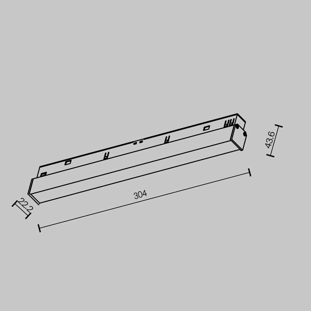 Трековый магнитный светильник Maytoni Basis TR030-2-12W2.7K-B в Санкт-Петербурге