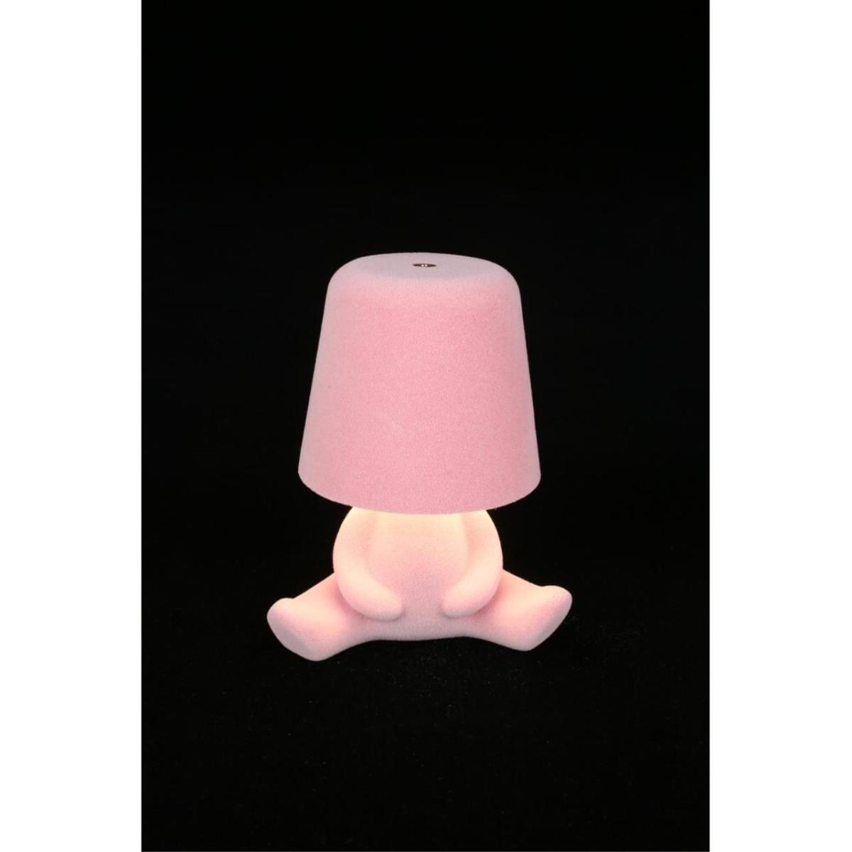 Настольная лампа Aployt Olka APL.677.14.01 в Санкт-Петербурге