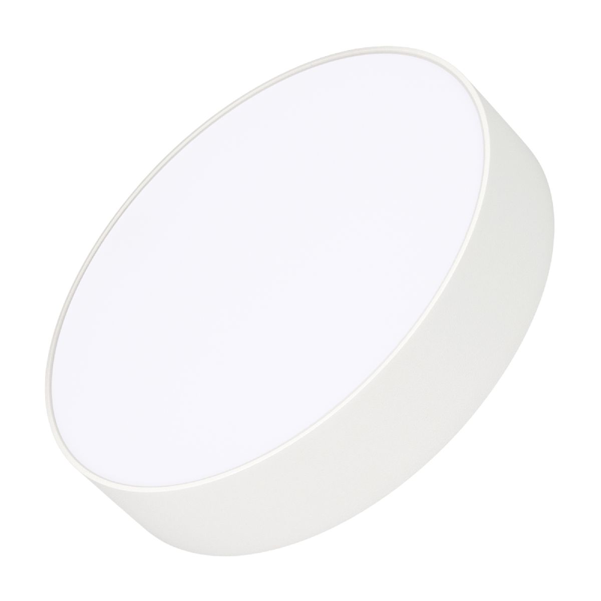 Накладной светильник Arlight IM-RONDO-EMERGENCY-3H-R250-23W Day4000 (WH, 120 deg, 230V) 041171 в Санкт-Петербурге