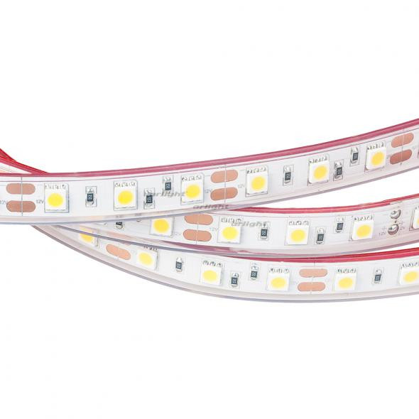 Светодиодная лента Arlight RTW 2-5000P 12V White6000 2x (5060, 300 LED, LUX) 012388 в Санкт-Петербурге