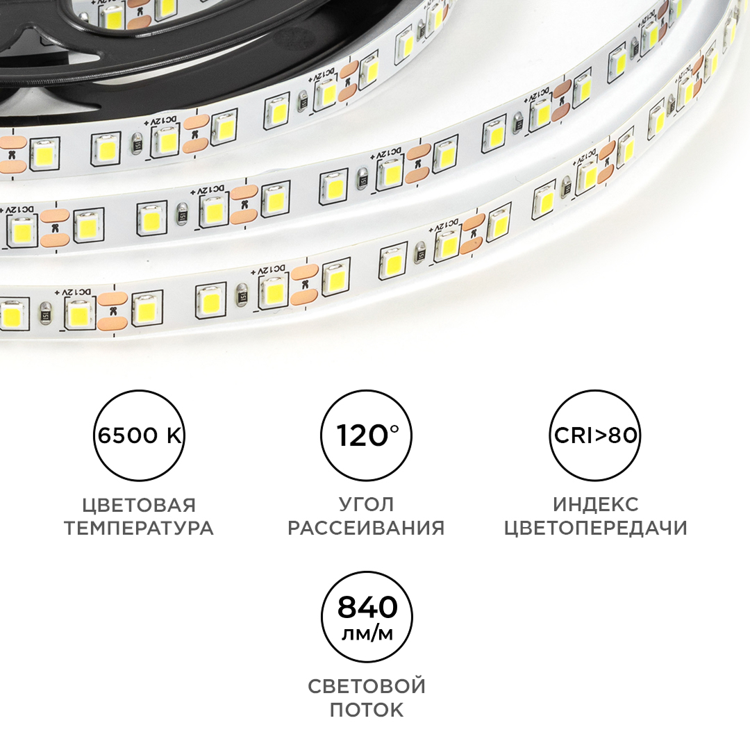 Светодиодная лента OGM 12В 2835 9,6Вт/м 6500К 840Лм/м 5м IP20 LSE-258 в Санкт-Петербурге