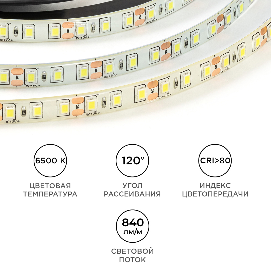 Светодиодная влагозащищенная лента OGM 12В 2835 9,6Вт/м 6500К 840Лм/м 5м IP65 LSE-261 в Санкт-Петербурге