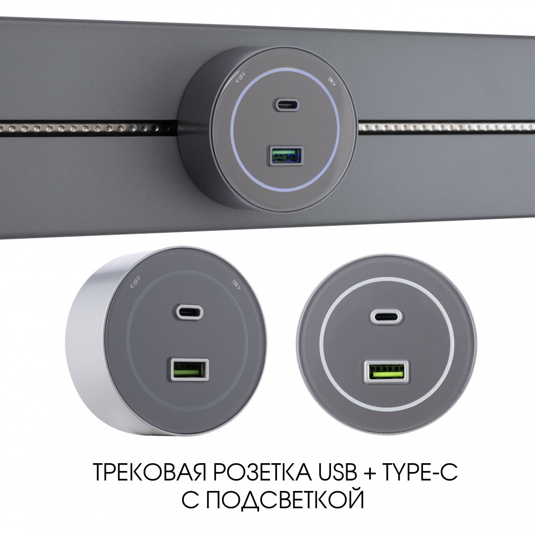 Трековая розетка Arte Milano Am-track-sockets-39 399732TS/USB-Type-C Grey в Санкт-Петербурге