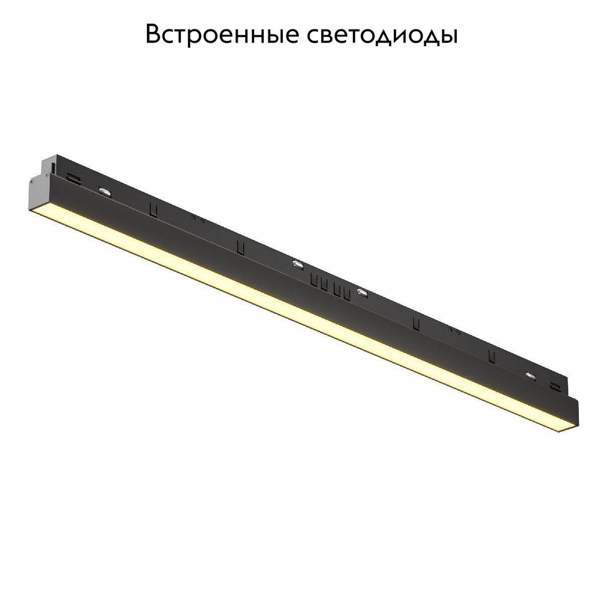 Трековый магнитный светильник Maytoni Basis TR030-2-24W2.7K-B в Санкт-Петербурге