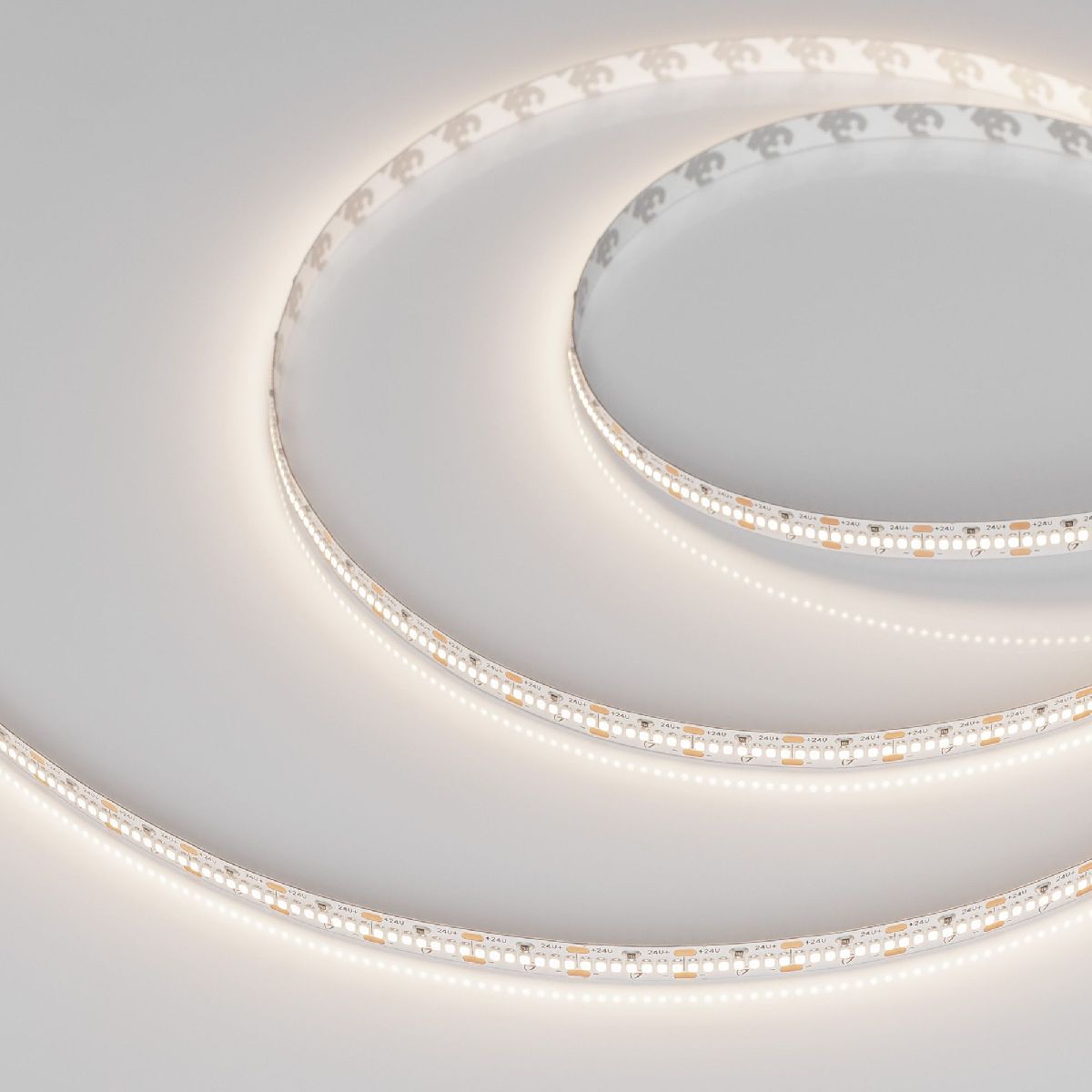 Светодиодная лента Arlight MICROLED-M420-8mm 24V Day4000 (9.6 W/m, IP20, 2216, 5m) 046743 в Санкт-Петербурге