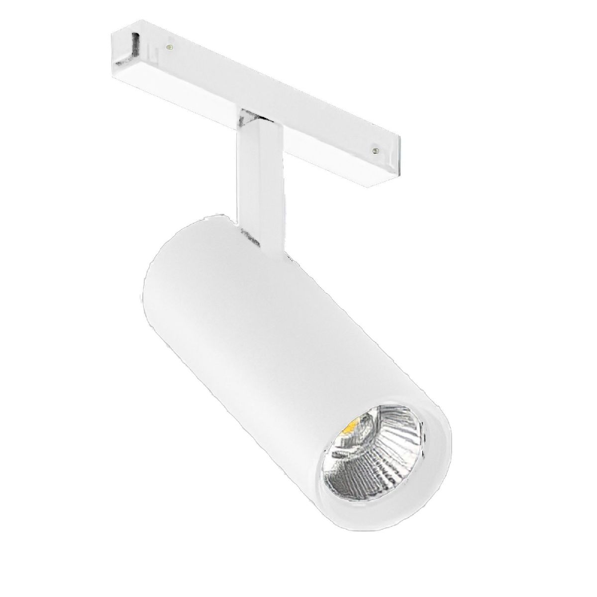 Трековый магнитный светильник Arlight MAG-VIBE-SPOT-R55-18W Day4000-MIX (WH, 24 deg, 48V, TUYA Zigbee) 045005 в Санкт-Петербурге