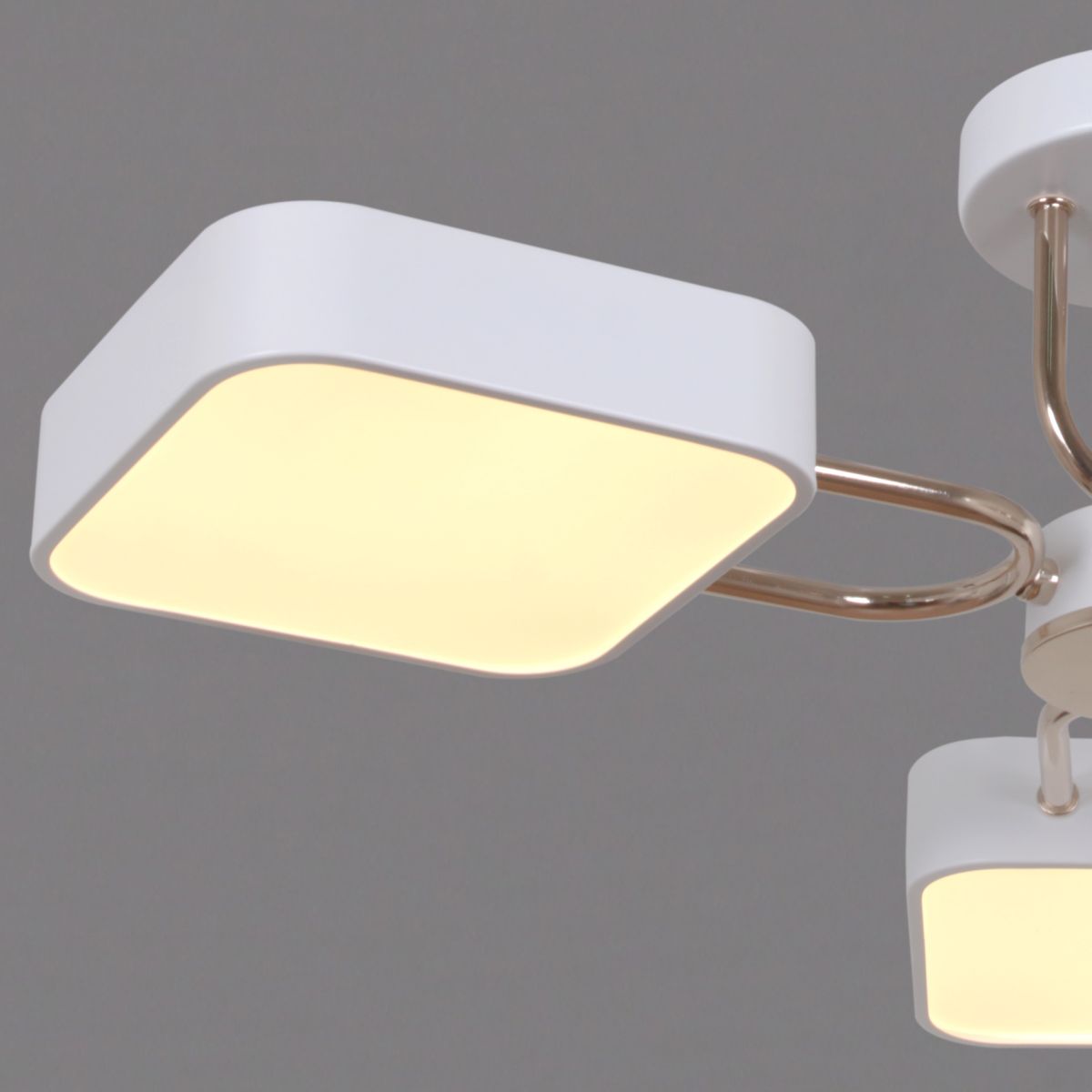 Потолочная люстра Reluce 03362-0.3-05 WH+FGD в Санкт-Петербурге
