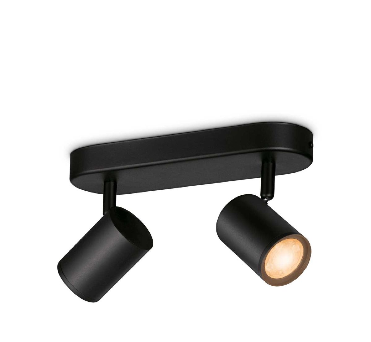 Умный спот Wiz Imageo Spots 2x5W B 22-65K RGB 929002659101 в Санкт-Петербурге