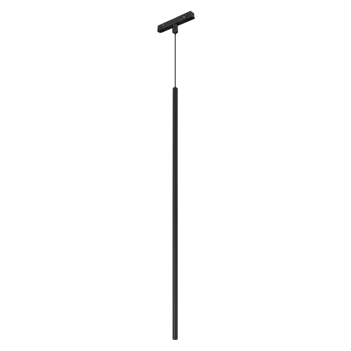 Трековый магнитный светильник Arlight MAG-ORIENT-SPOT-HANG-L600-R12-2W Warm3000 (BK, 20 deg, 48V) 044502 в Санкт-Петербурге