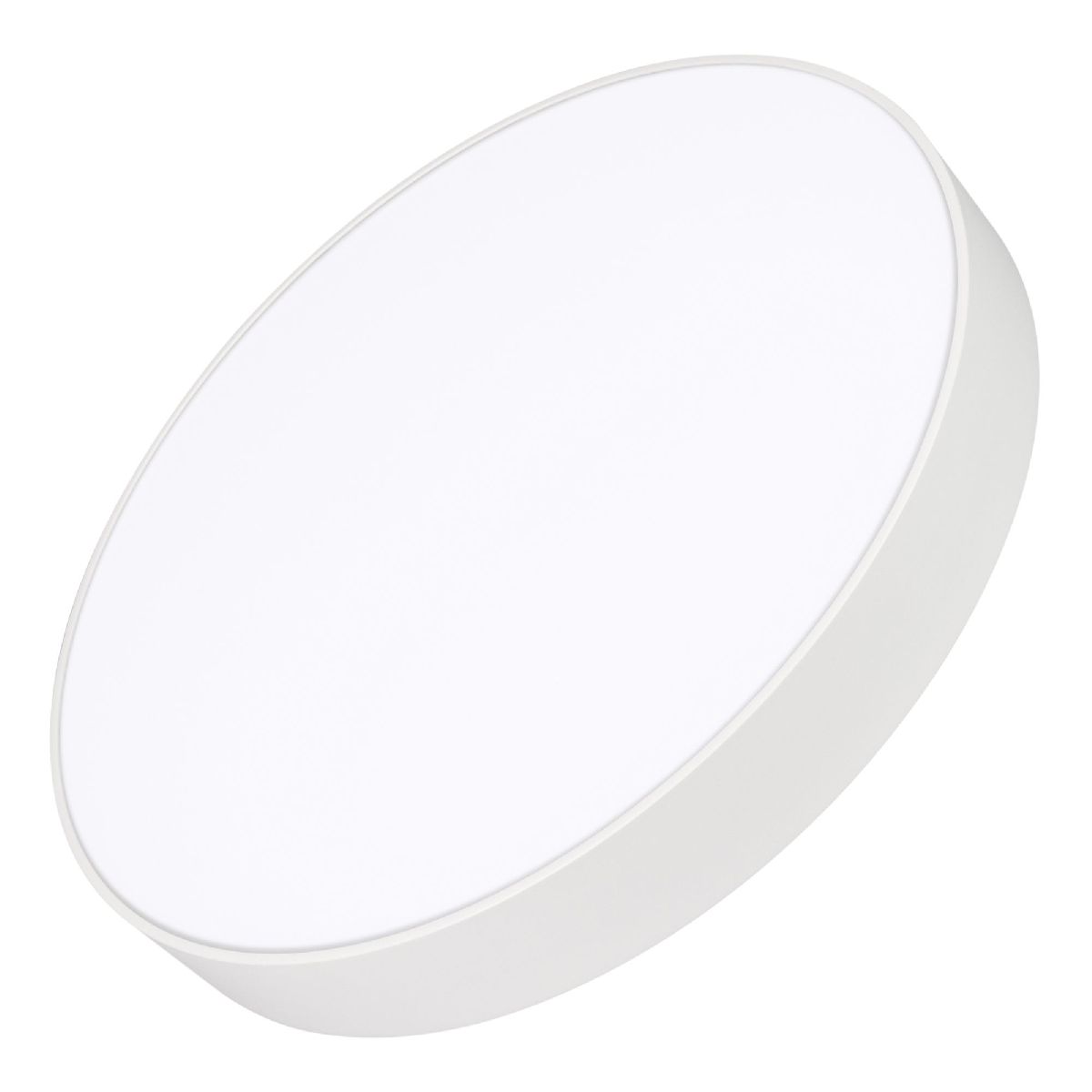 Потолочный светильник Arlight IM-RONDO-EMERGENCY-3H-R500-54W Day4000 (WH, 120 deg, 230V) 041070 в Санкт-Петербурге
