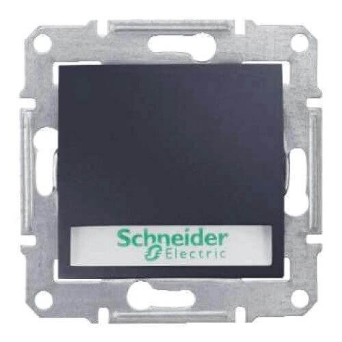Выключатель кнопочный с подсветкой и полем для надписи Schneider Electric Sedna 10A 250V SDN1600370 в Санкт-Петербурге