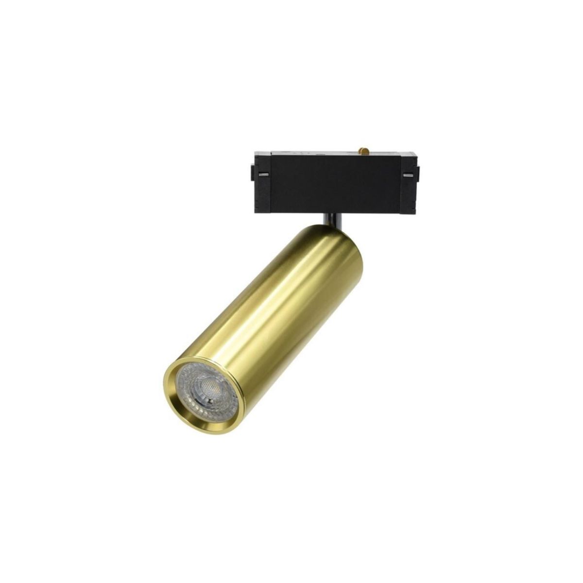 Трековый магнитный светильник Aployt Magnetic track 220 APL.0210.10.01 в Санкт-Петербурге