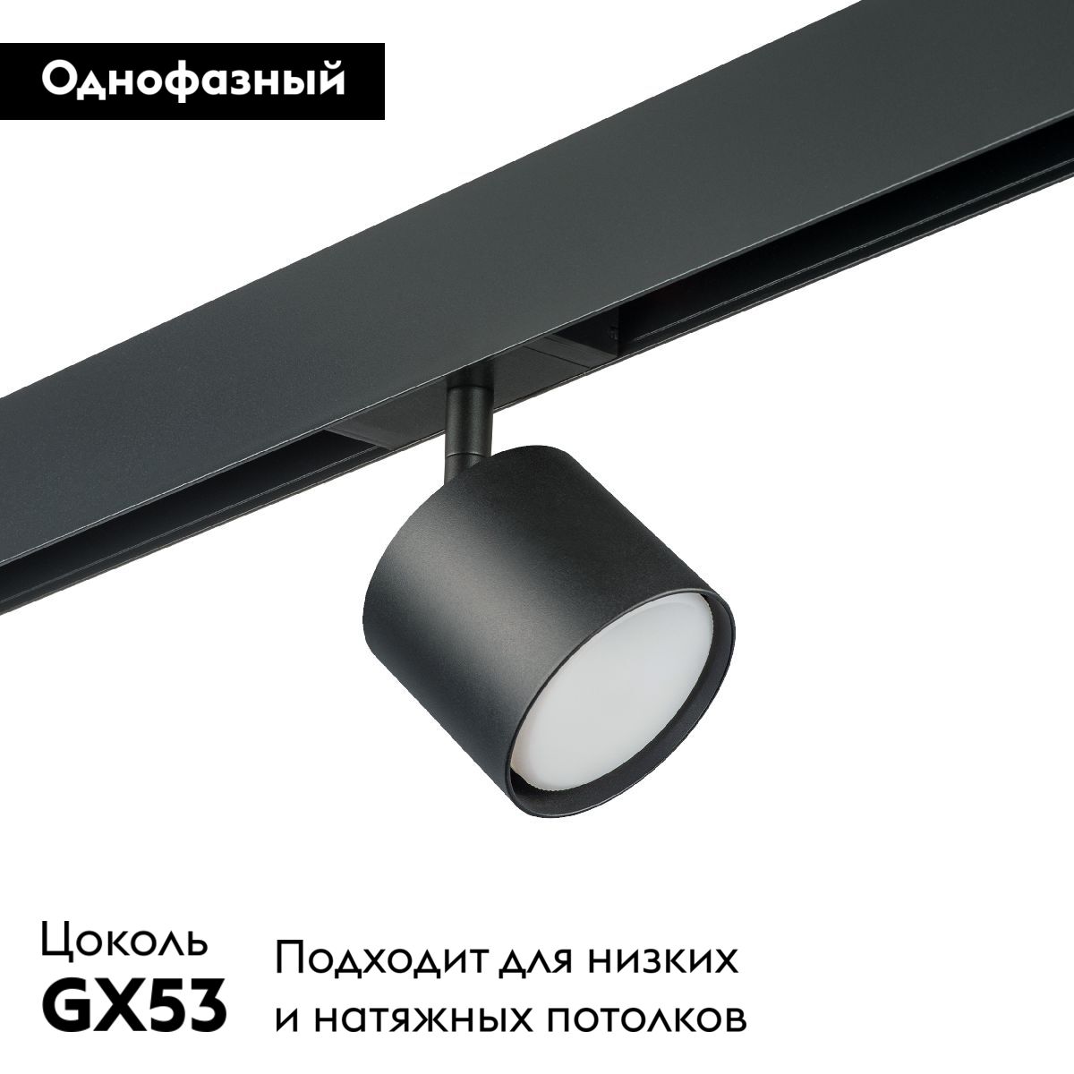 Трековый однофазный светильник Lightstar Rullo (213487+595087) PRO3487 в Санкт-Петербурге