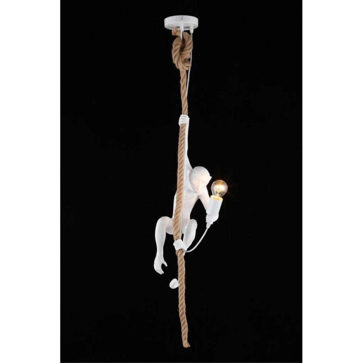 Подвесной светильник Aployt Magali APL.309.06.01 в Санкт-Петербурге