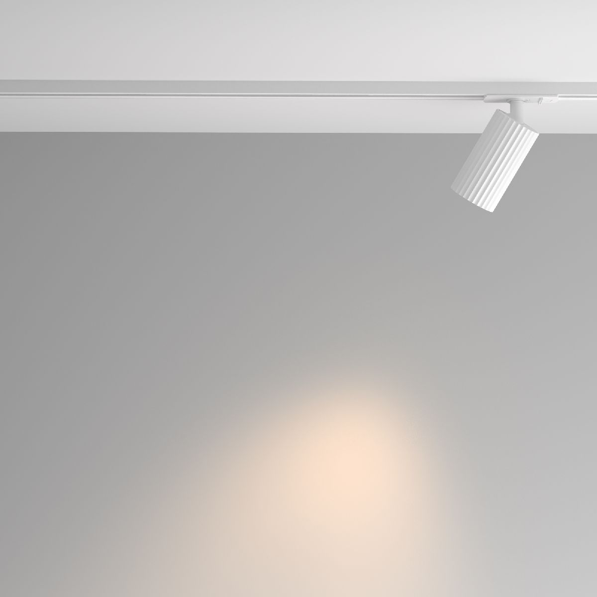 Трековый однофазный светильник Maytoni Calipso TR218-1-GU10-W в Санкт-Петербурге