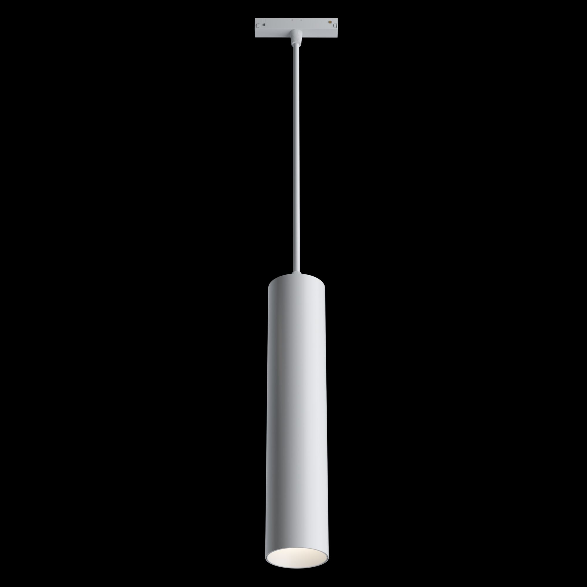 Трековый светильник Maytoni Technical Track lamps TR016-2-12W3K-W в Санкт-Петербурге