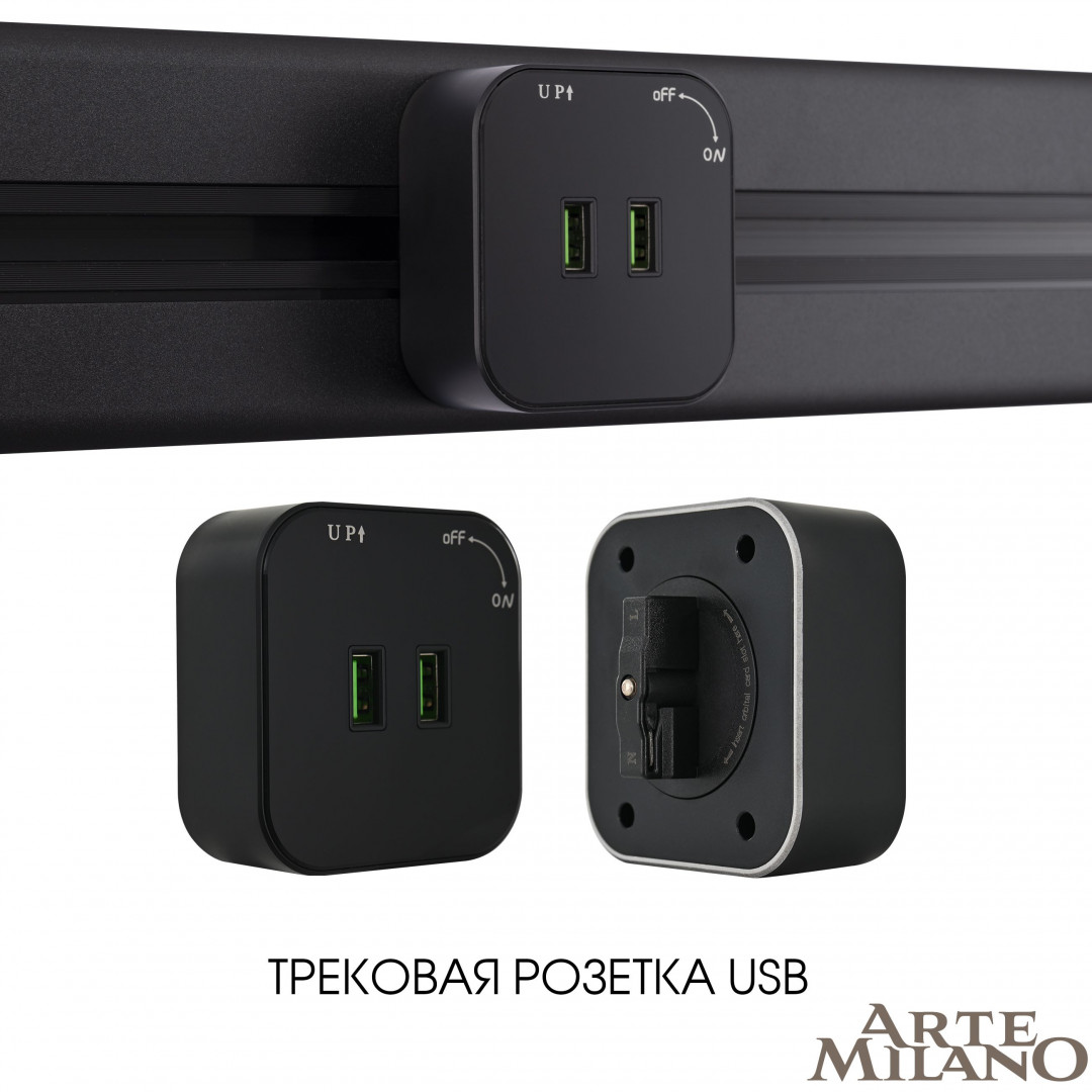 Трековая розетка Arte Milano Am-track-sockets 380022TS/USBx2 Black в Санкт-Петербурге