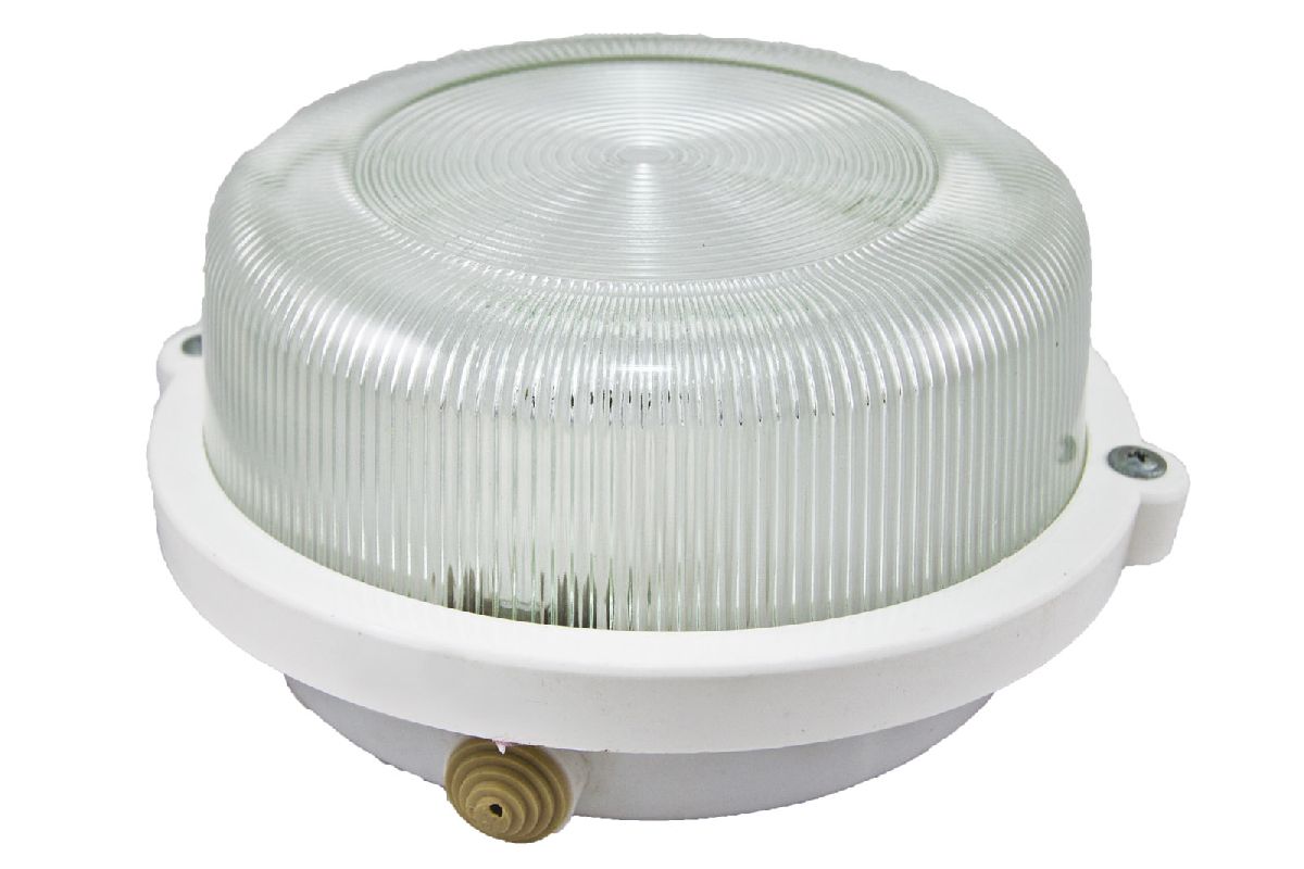 Настенно-потолочный светильник TDM Electric НПП 03-100-005.03 SQ0311-0003 в Санкт-Петербурге
