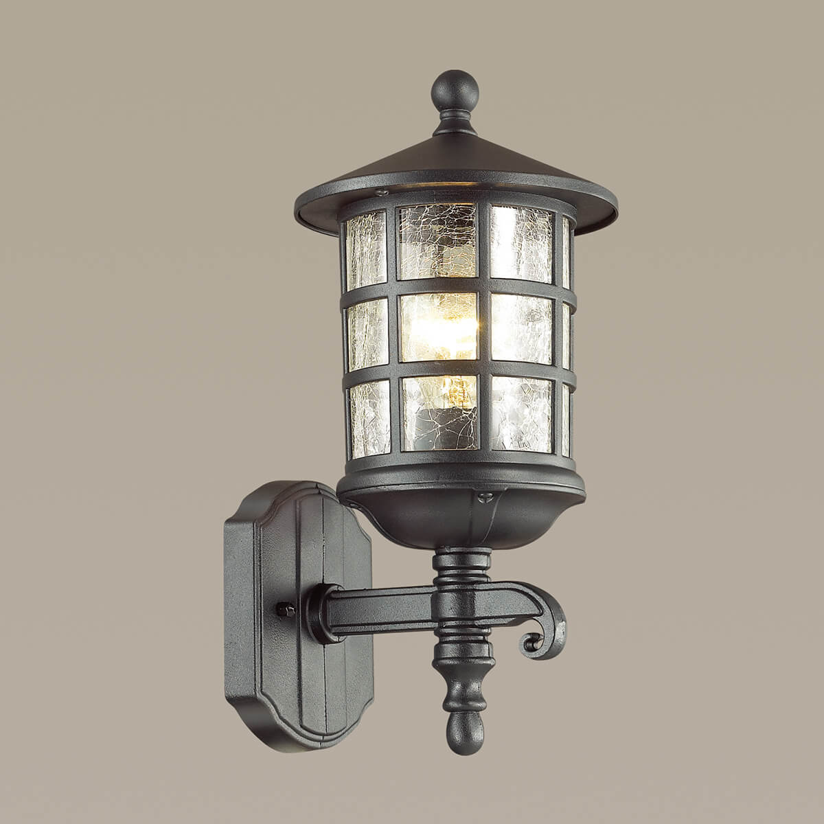Уличный настенный светильник Odeon Light House 4043/1W в Санкт-Петербурге