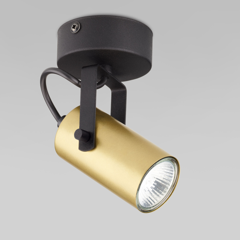 Спот TK Lighting 2793 Redo Black Gold в Санкт-Петербурге