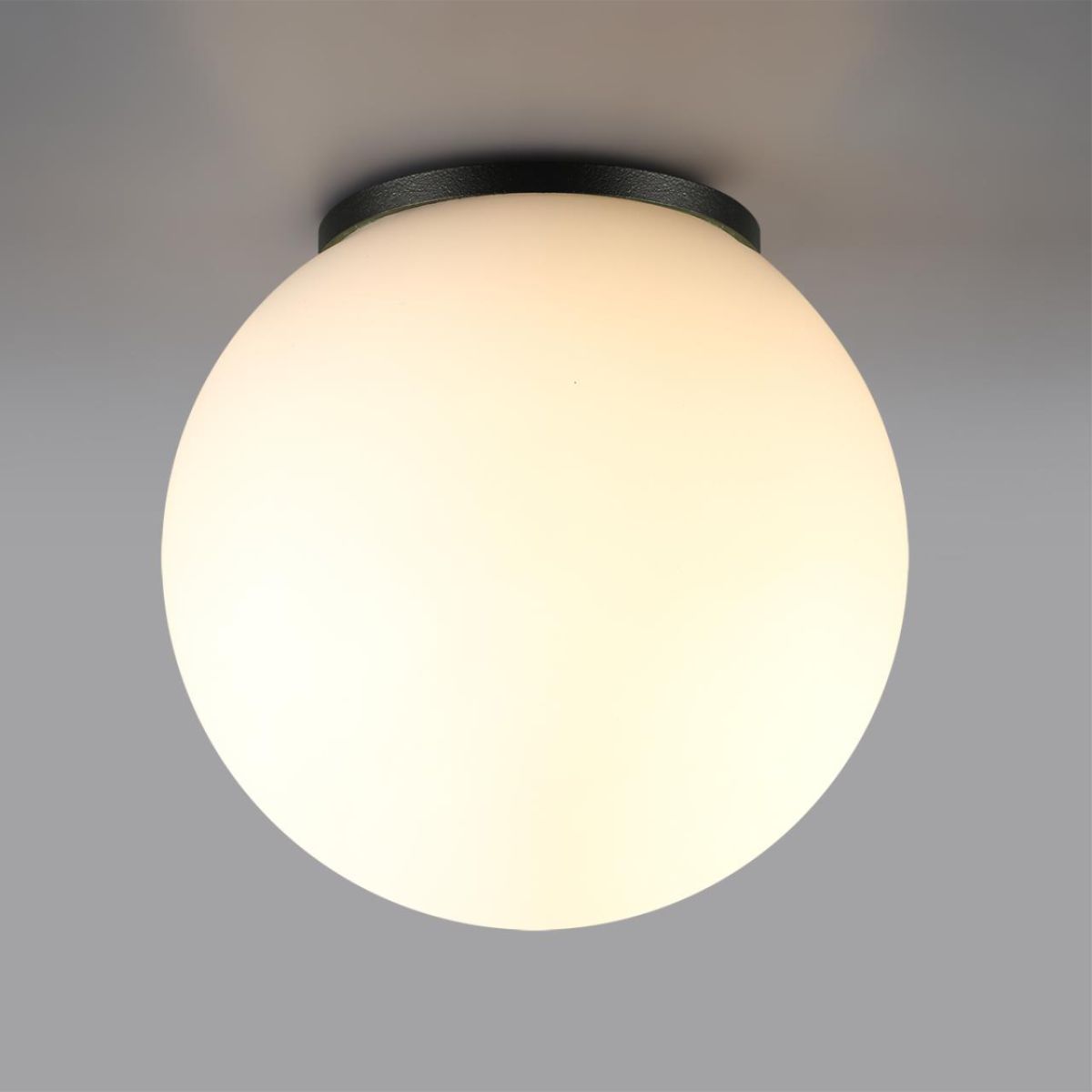 Уличный потолочный светильник Odeon Light Nature Viva 7124/1C в #REGION_NAME_DECLINE_PP#