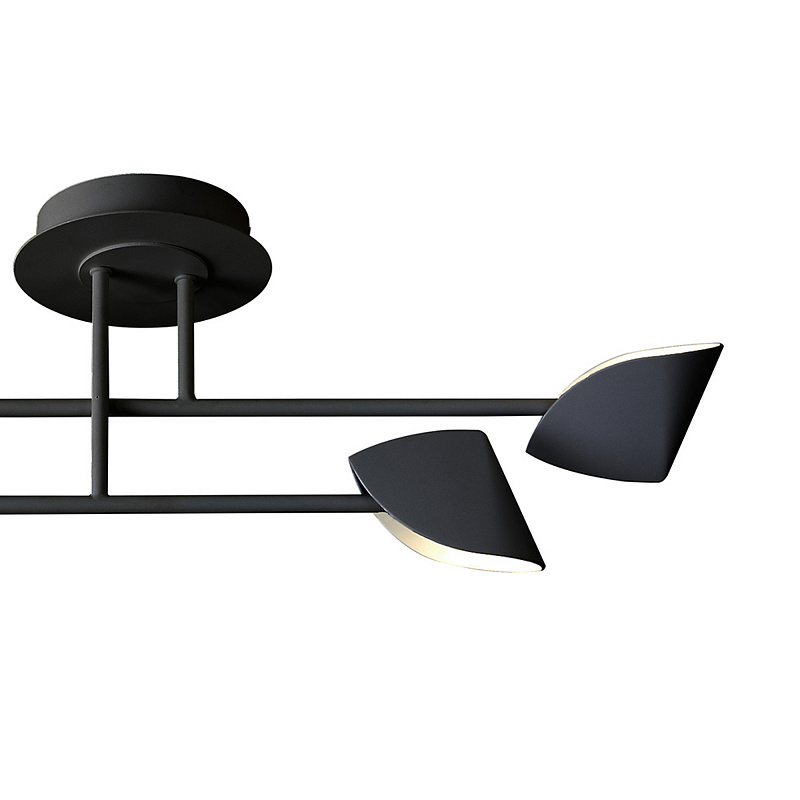 Потолочная люстра Mantra Capuccina 7582 в Санкт-Петербурге