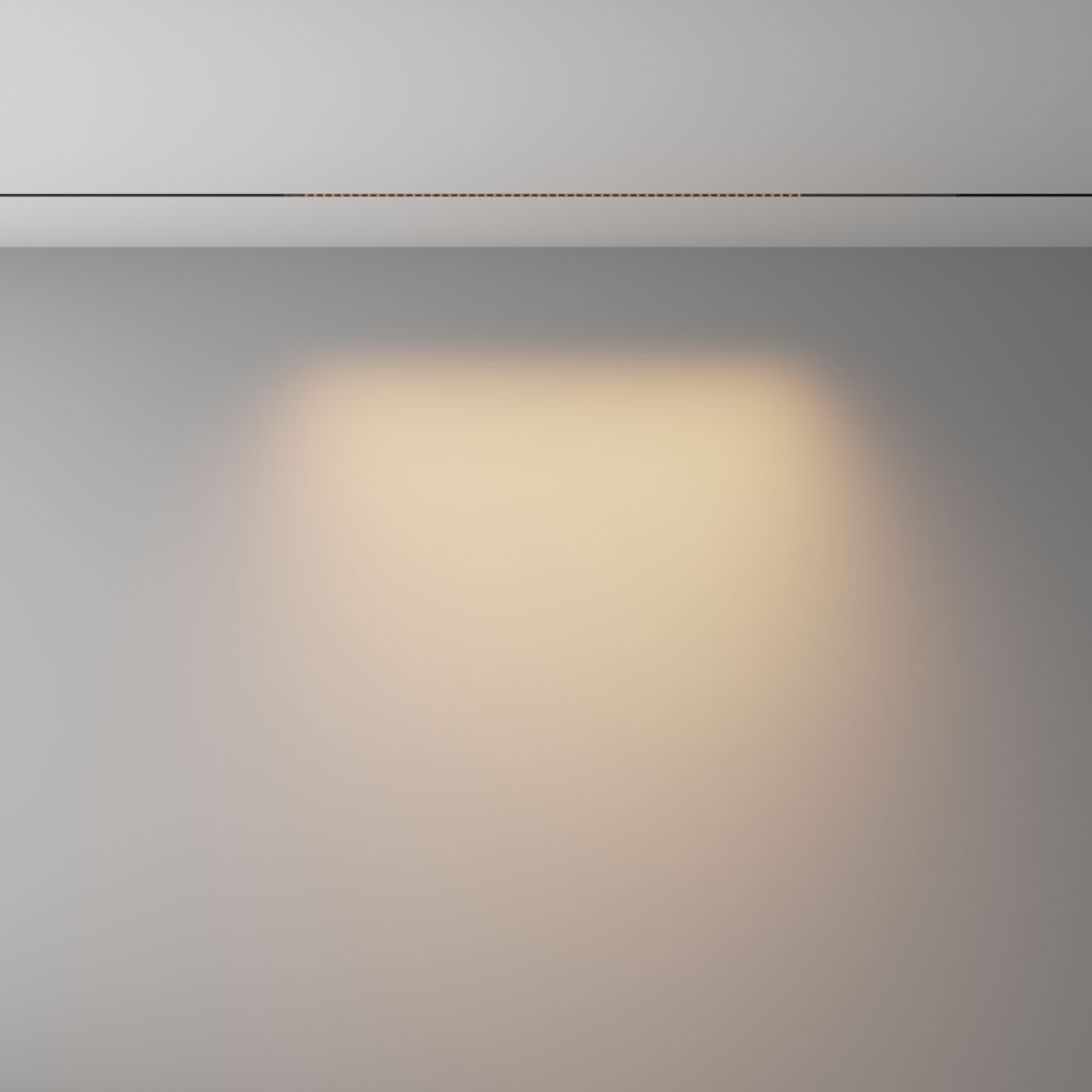 Трековый магнитный светильник Maytoni Technical Points Exility X TR241-4-12WTW-DD2-B в Санкт-Петербурге