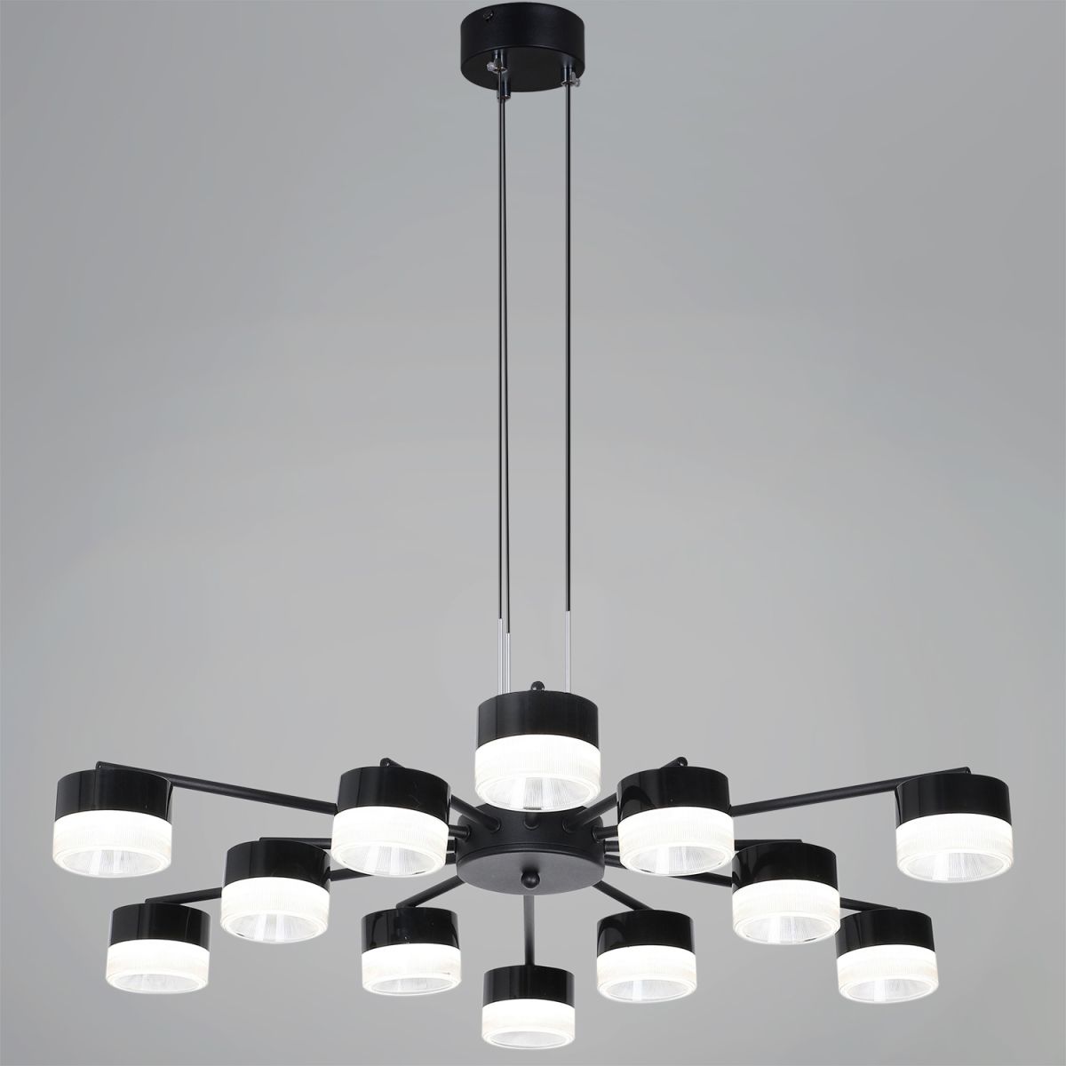 Потолочная люстра Reluce 19490-0.4-6+6 Black в Санкт-Петербурге