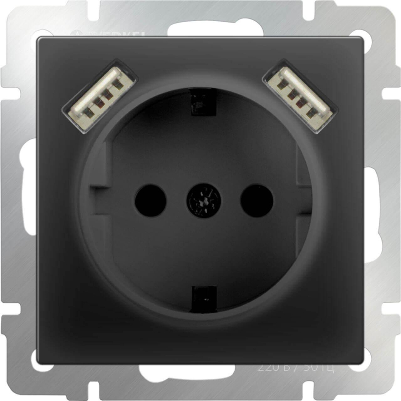 Розетка Werkel с заземлением, шторками и USBx2 черный матовый WL08-SKGS-USBx2-IP20 4690389073236 в Санкт-Петербурге