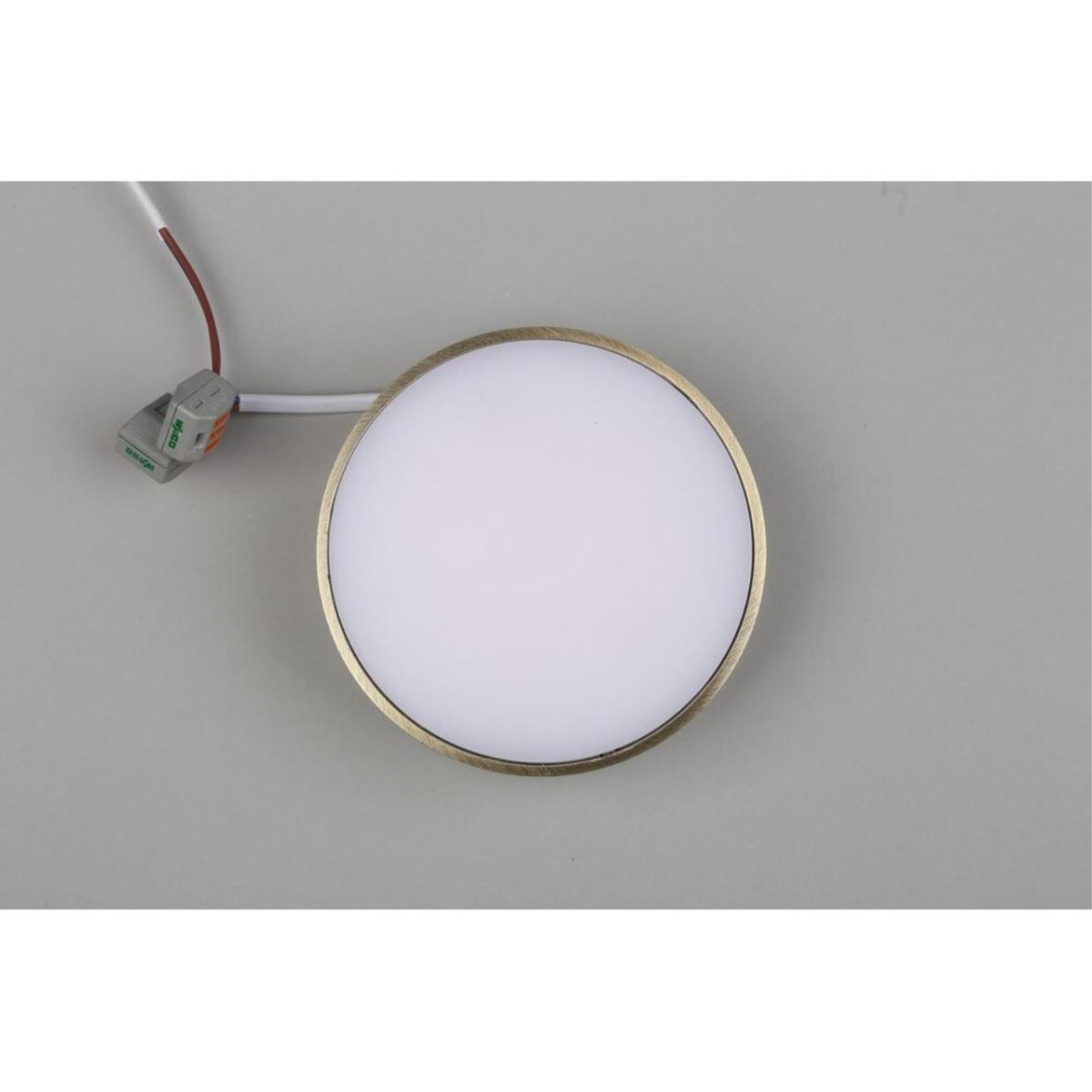 Потолочный светильник Aployt Evon APL.0113.29.12 в Санкт-Петербурге