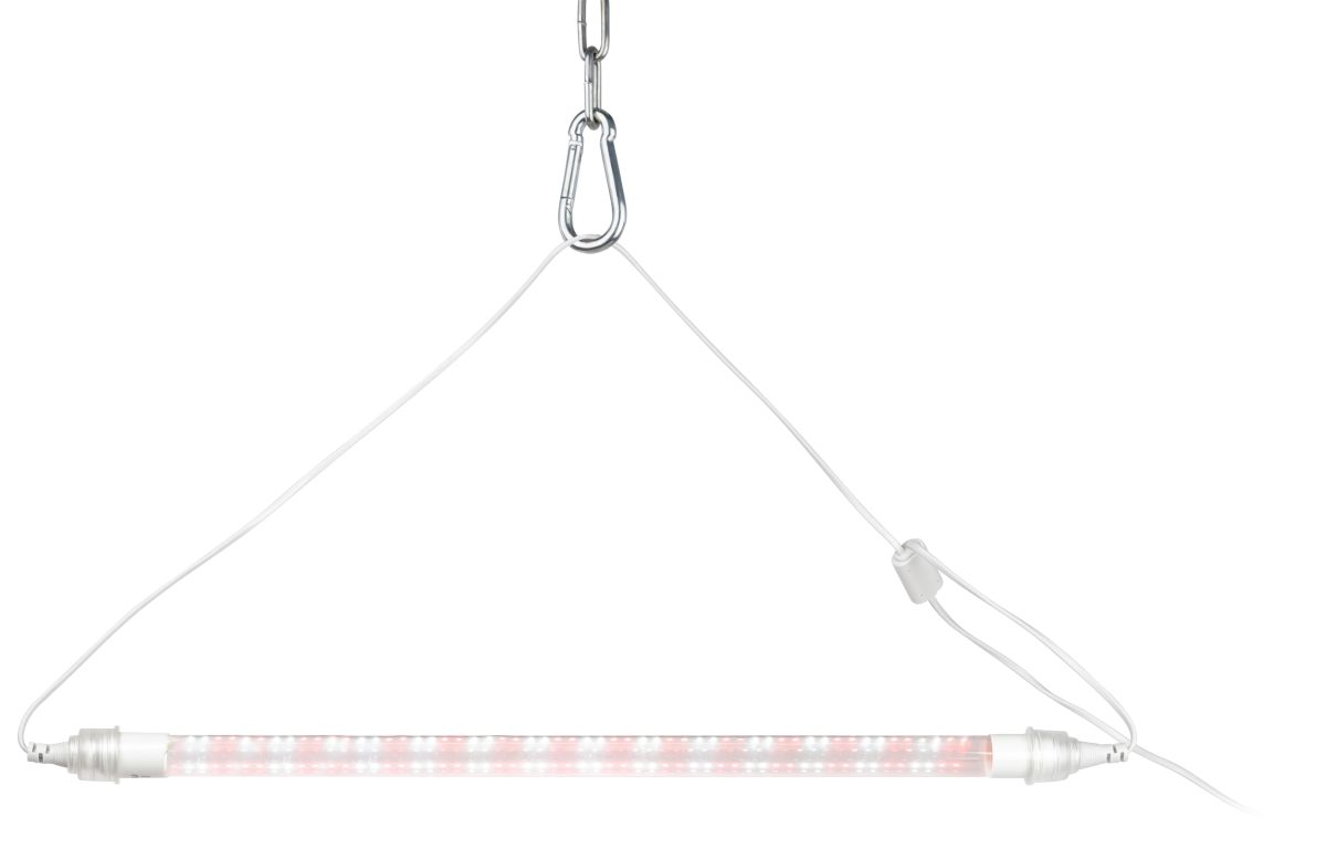 Линейный светильник для растений Эра FITO-9W-Rа90-Т8+holderG13 Б0069516 в #REGION_NAME_DECLINE_PP#