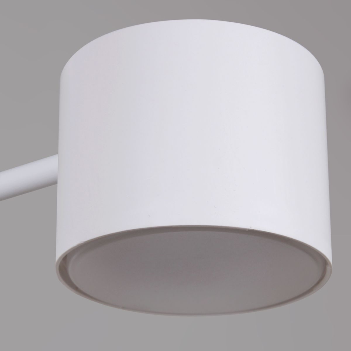 Люстра на штанге Reluce 47206-0.3-08WT в Санкт-Петербурге