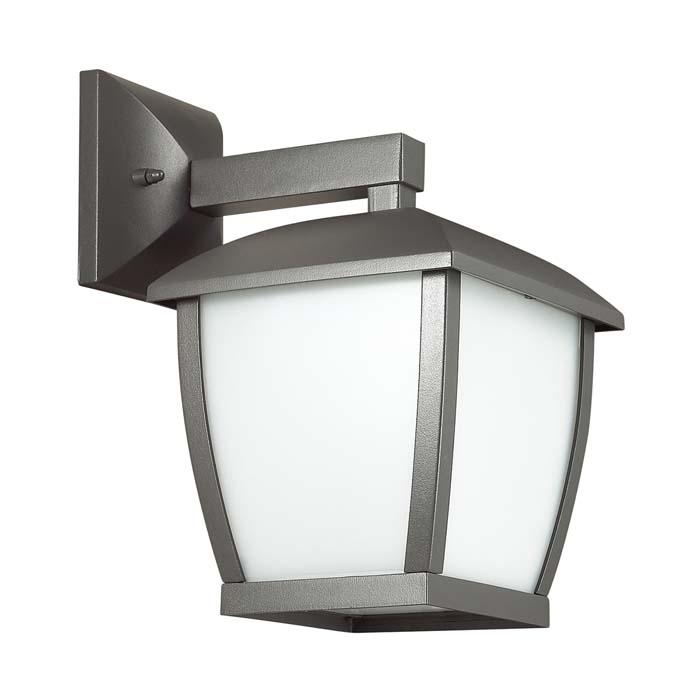 Уличный настенный светильник Odeon Light Tako 4051/1W в Санкт-Петербурге