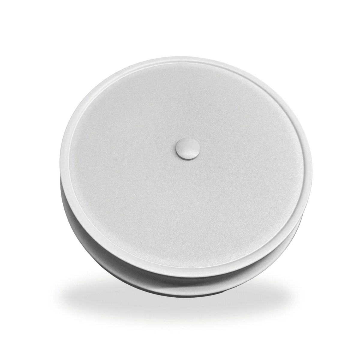 Потолочная люстра Arti Lampadari Tavoleto L 1.13.32 W в Санкт-Петербурге