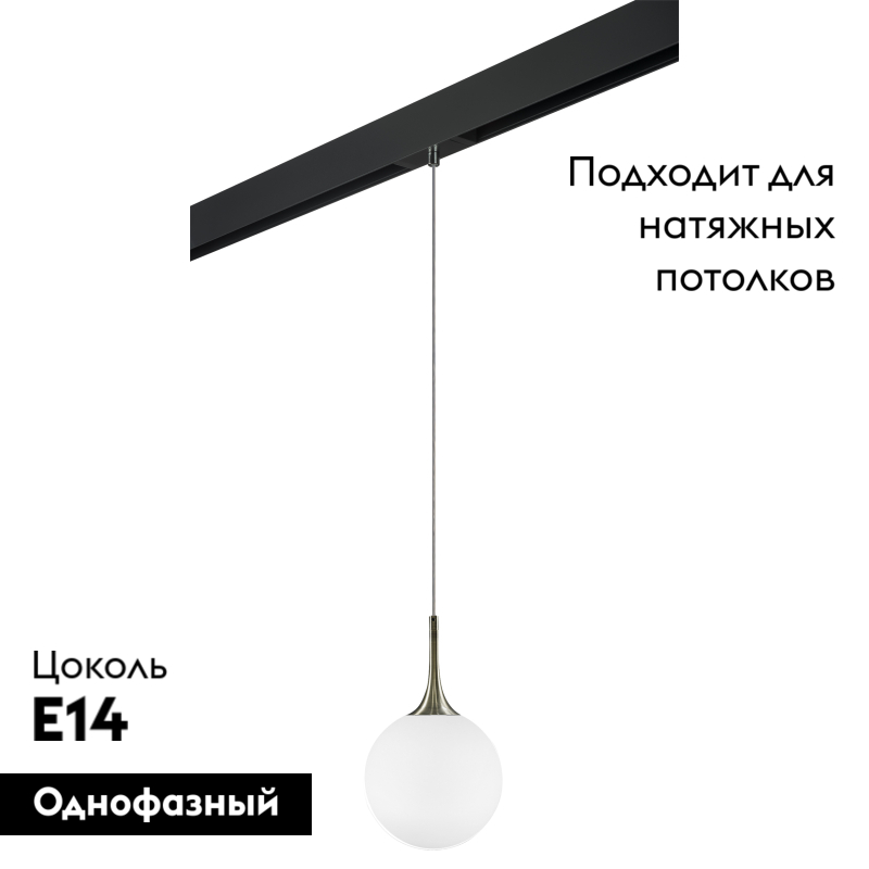 Трековый светильник Lightstar Globo PRO813021 (813021+595007) в Санкт-Петербурге