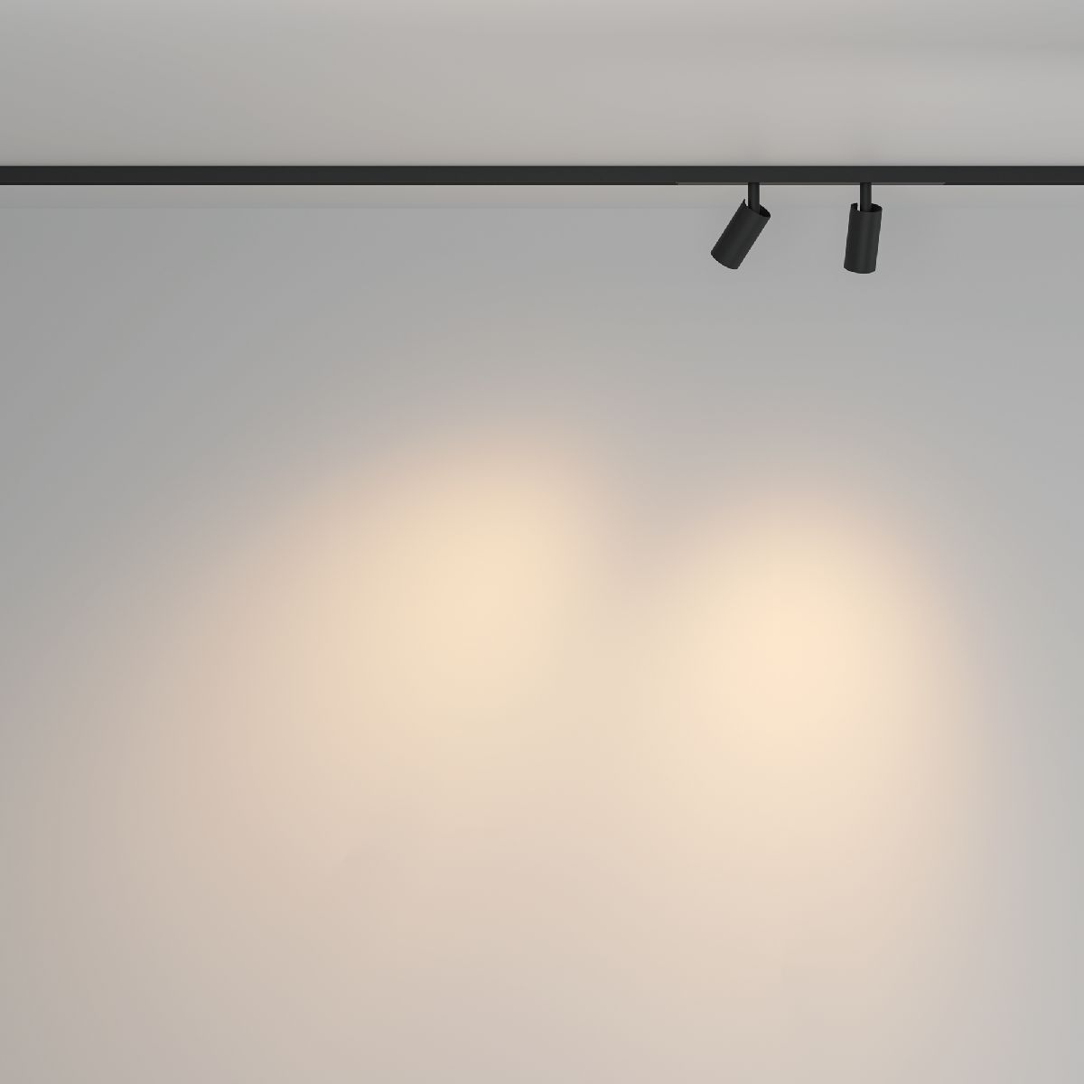 Трековый магнитный светильник Maytoni Focus Duo TR176-1-2X3WTW-M-B в Санкт-Петербурге