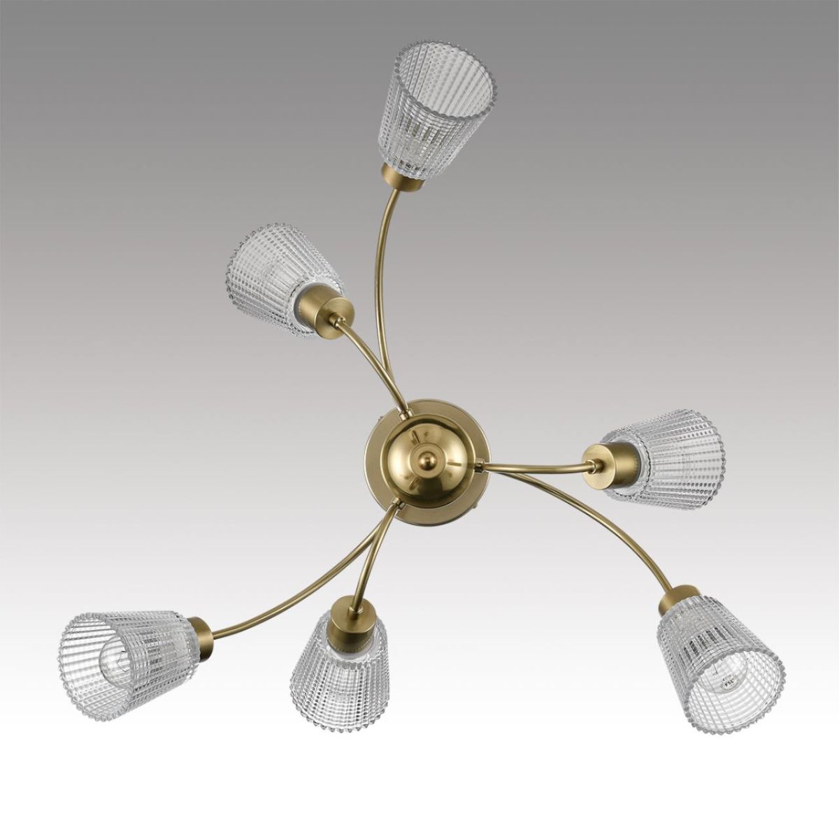 Люстра на штанге Lumion Comfi Imana 8154/6C в Санкт-Петербурге
