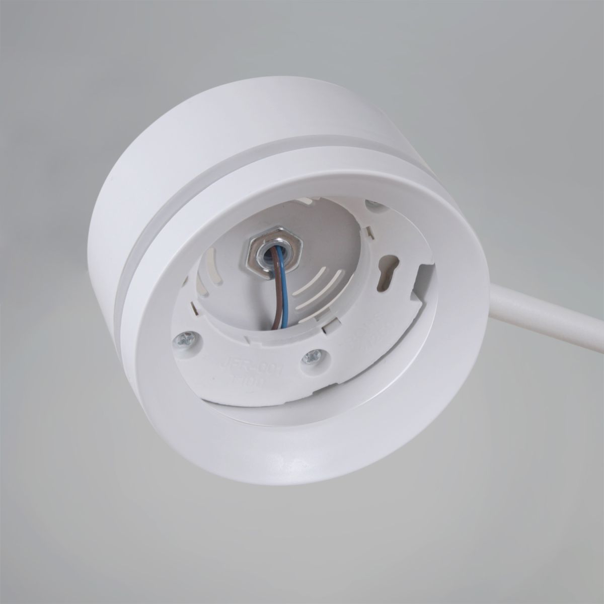 Потолочная люстра Reluce 20590-0.3-5+1 White в Санкт-Петербурге