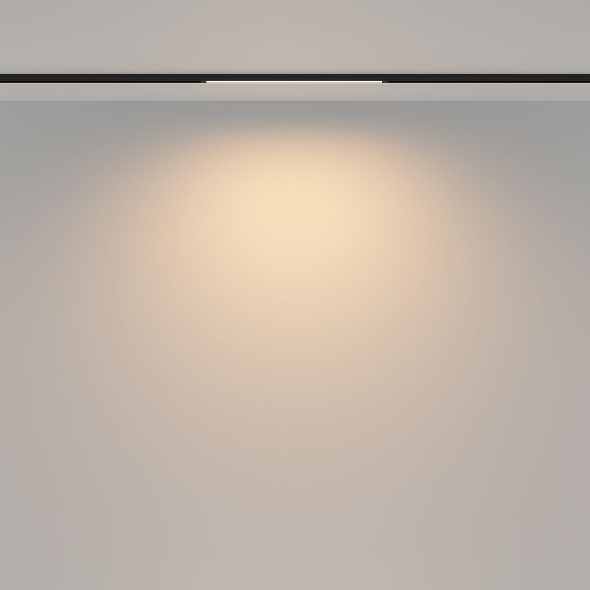 Трековый магнитный светильник Maytoni Basis TR173-1-8WTW-B в Санкт-Петербурге