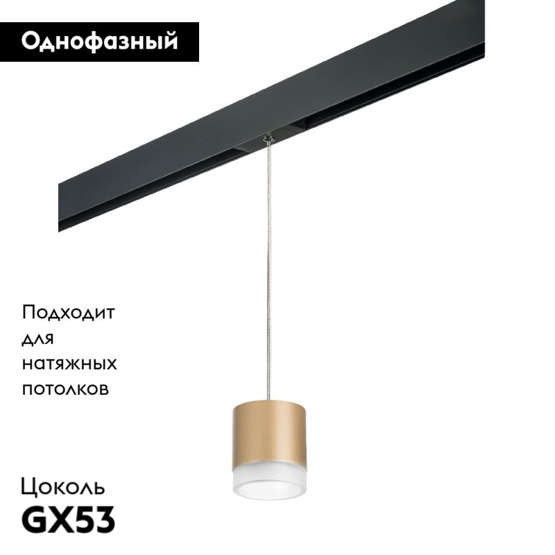 Трековый однофазный светильник Lightstar Rullo (213490+595887+202480) PRORP349080 в Санкт-Петербурге