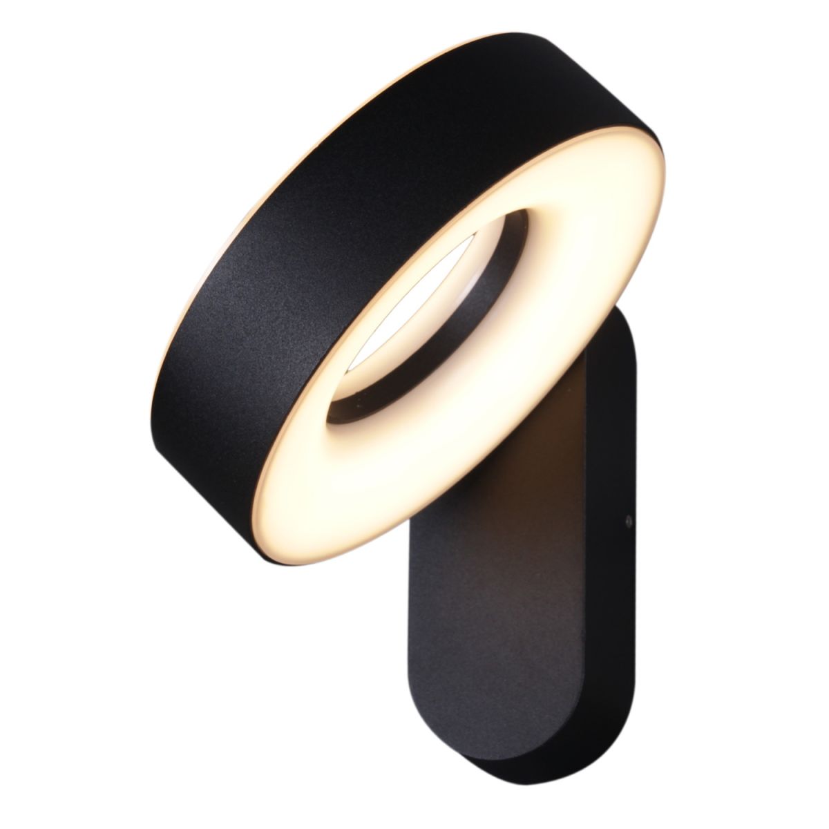 Уличный настенный светильник Reluce 86869-9.2-001JH LED2*12W BK в Санкт-Петербурге