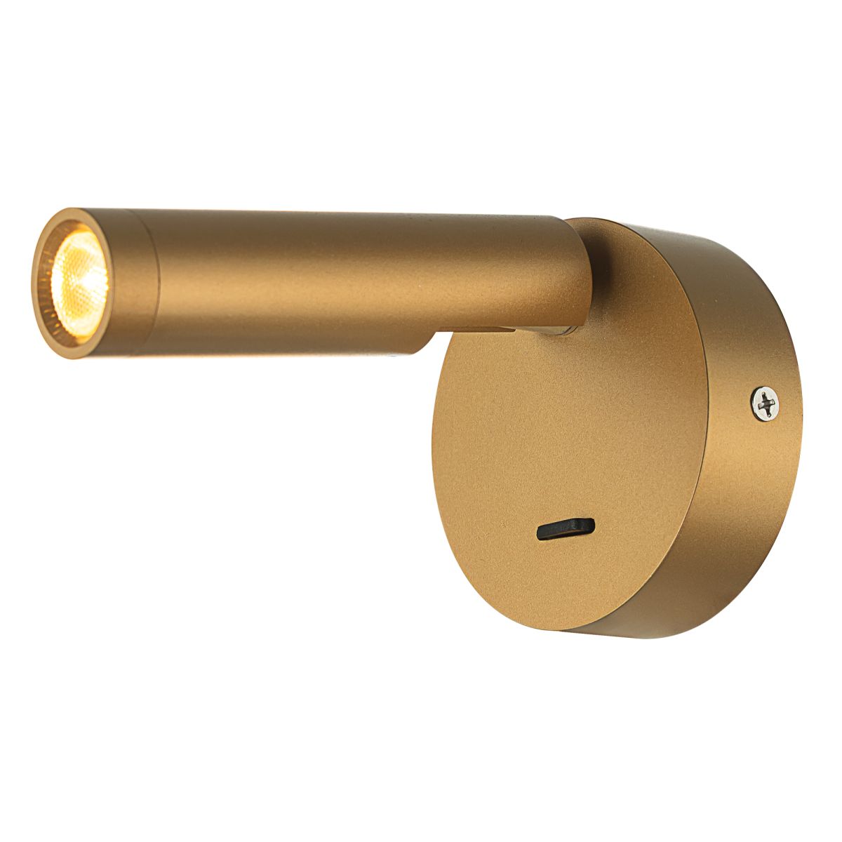 Спот Citilux Dekart CL704102 в Санкт-Петербурге