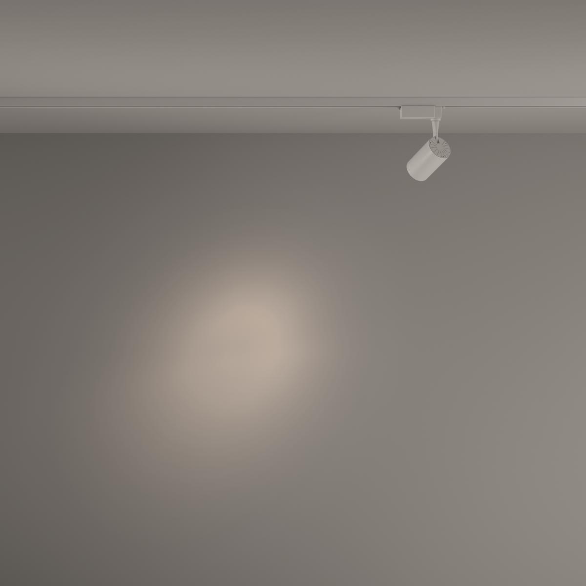 Трековый светильник Maytoni Technical Vuoro TR003-1-6W4K-S-W в Санкт-Петербурге