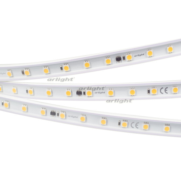 Светодиодная лента Arlight ARL-PV-B54-15.5mm 5060 029400(2) в Санкт-Петербурге
