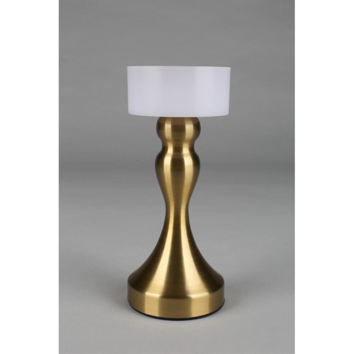 Настольная лампа Omnilux OML-40304-01 в Санкт-Петербурге